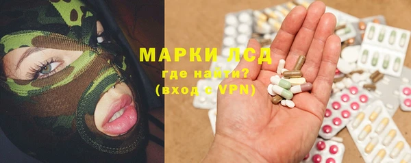индика Балахна