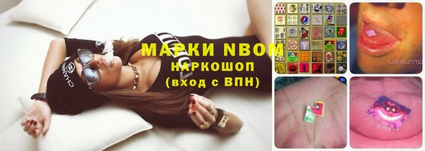 дживик Баксан