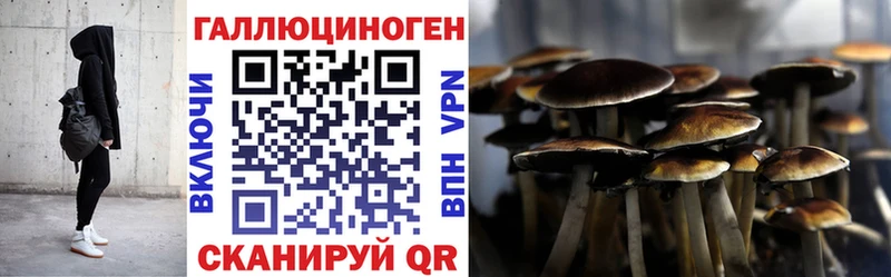 ссылка на мегу ссылки  магазин    Константиновск  Галлюциногенные грибы Magic Shrooms 